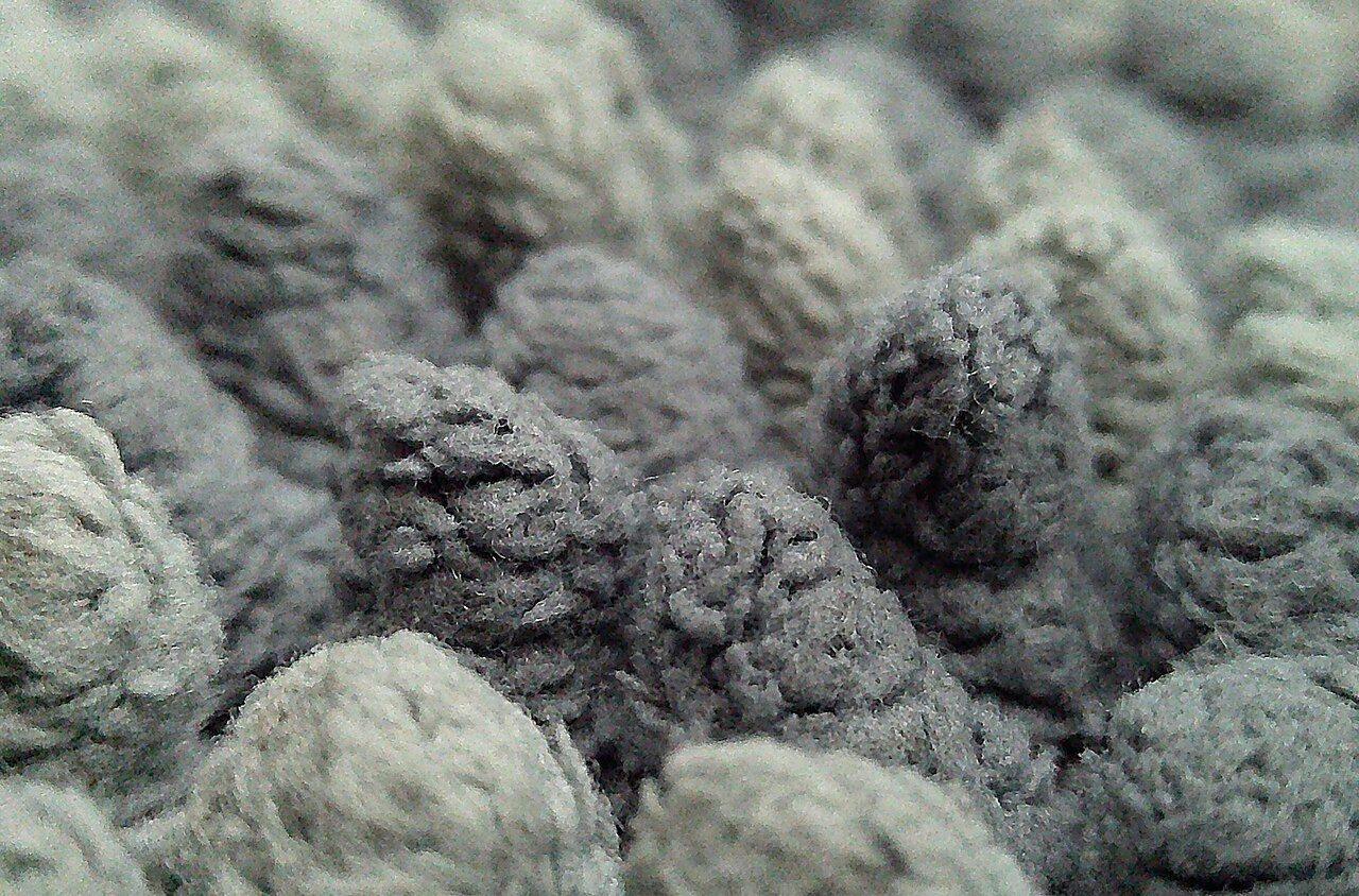 PLACEHOLDER: a very close photograph of grey cut pile carpet, the tufts standing separately, some clean and some soiled.
